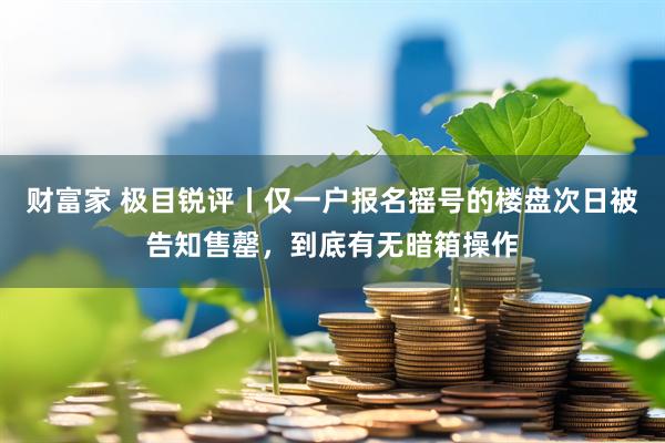 财富家 极目锐评丨仅一户报名摇号的楼盘次日被告知售罄，到底有无暗箱操作