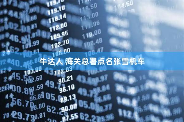 牛达人 海关总署点名张雪机车